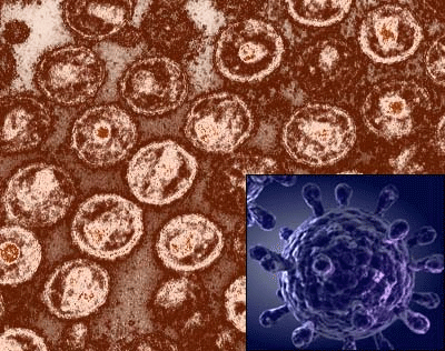 ����� �������������� �������� (���, HIV)
